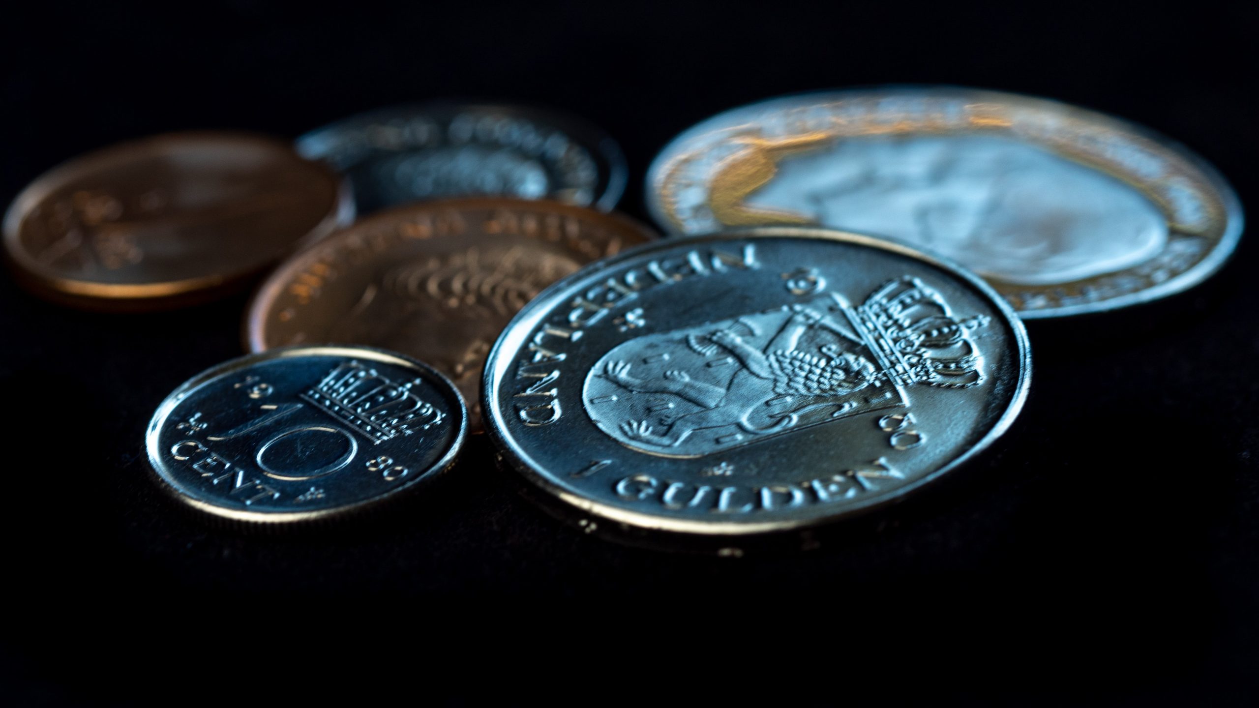 Paid for Services…