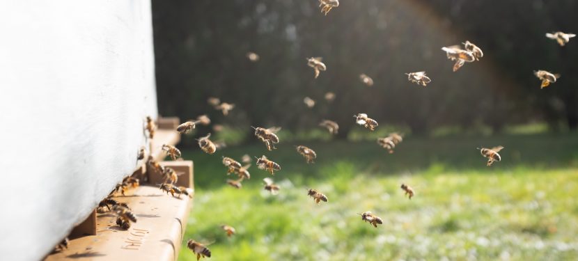 Conference 10-12 June – don’t forget Ops Leads are v welcome