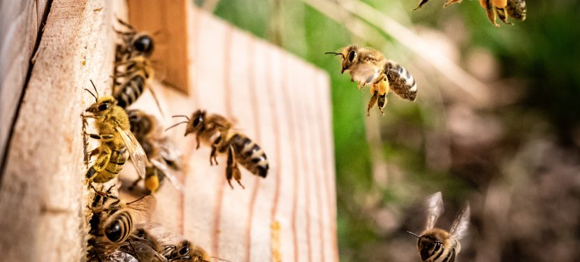 What do YOU think? What do YOU think?