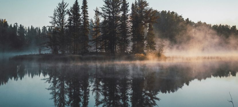 Wellbeing survey- bureaucratic burdens