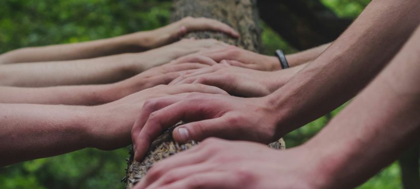 Our directory of partnership working